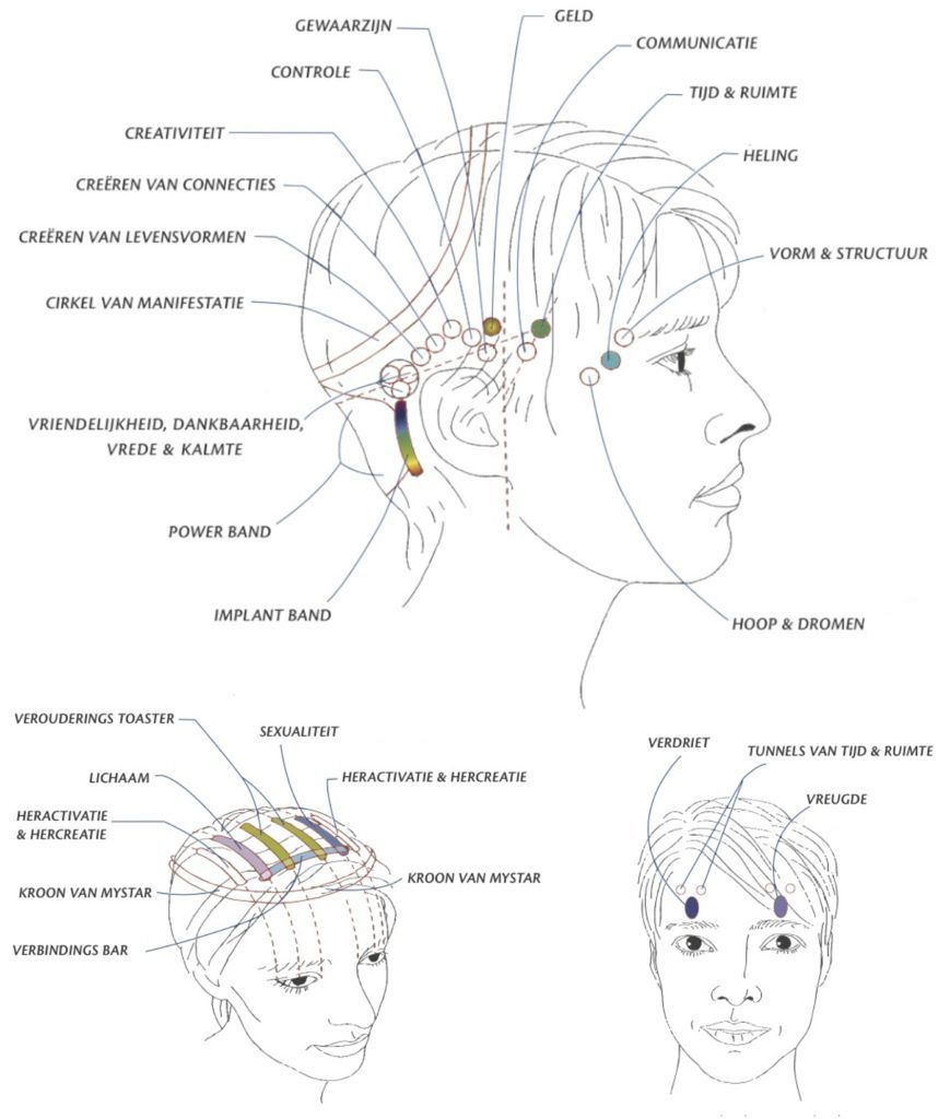 DUTCH-Access-Bars-Headchart